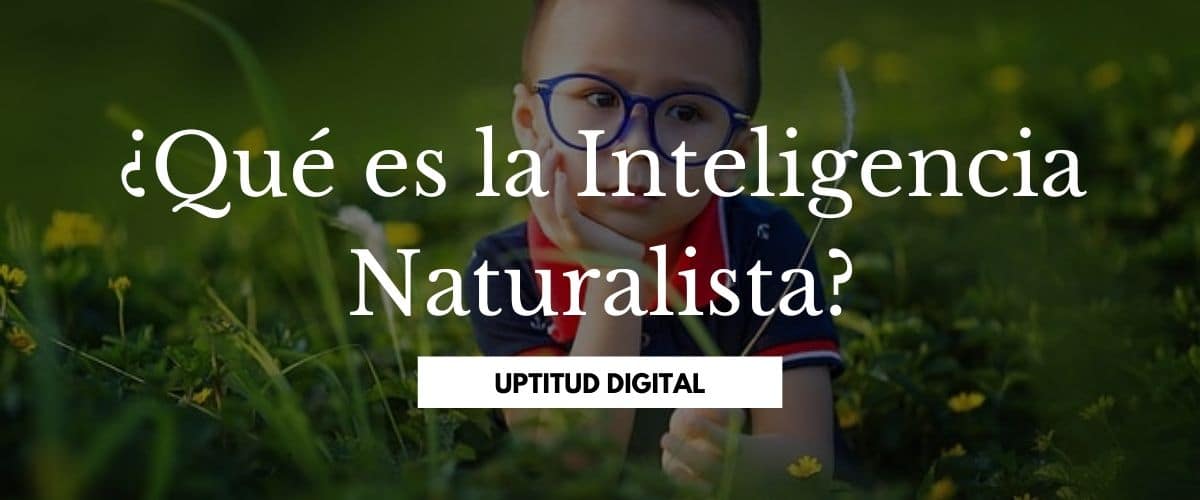 UptitudDigital's tweet photo. ¿Por qué algunas personas (en las que me incluyo) sienten cierta conexión casi espiritual con la naturaleza? #uptituddigital #psicologia #niños #inteligencia #familia #educacion #desarrollo https://t.co/S30vltUcDx https://t.co/idqKByc9yY