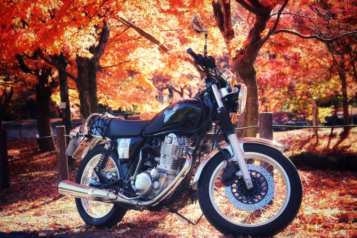 紅葉ツーリング🍁　　　　　　　　　　　　　　家から5分ですが…😛