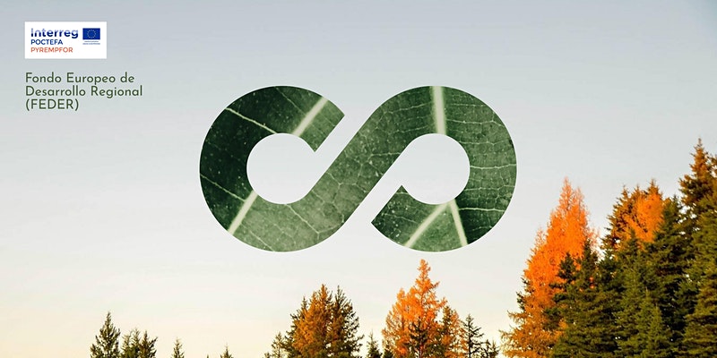 ctforestal's tweet photo. Mañana, nuevo seminario #Pyrempfor: El Observatorio #Forestal #Pirinaico, una herramienta para el sector, @CTPPOCTEFA, @ObsForestCAT #formaciononline
Inscripciones y más información: https://t.co/eRVcv9esqA https://t.co/42pGo8jWxc