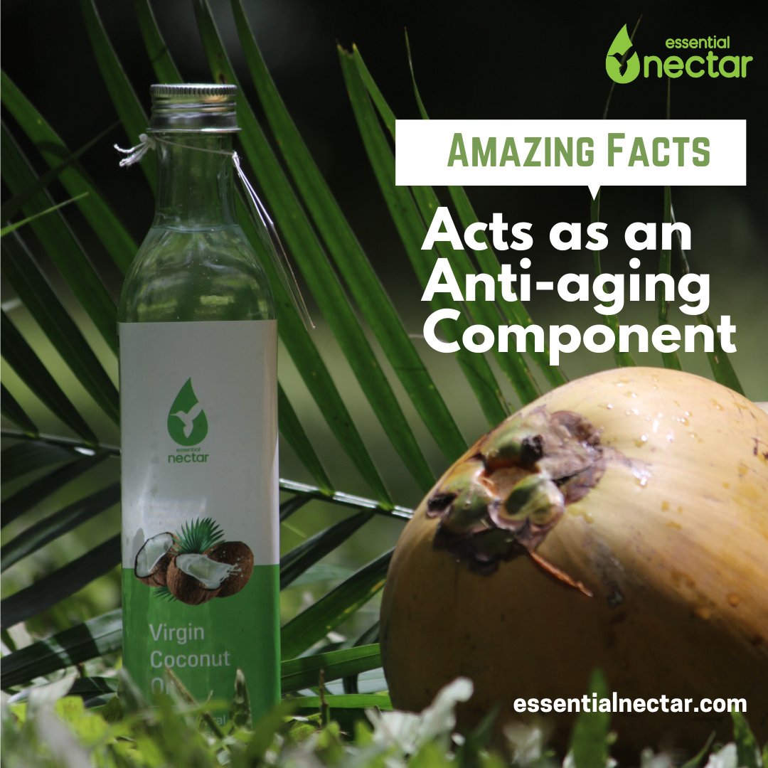 essentialnectar's tweet image. #virgincoconutoil
#essentialnectar
#buylocal
#anti-aging

Acts as an Anti-aging Component 
Rich with antioxidants, coconut oil is known to slow the aging process, generally by curbing any undue stress on the liver. 

essentialnectar.com
Ph: +91 9513303399.
