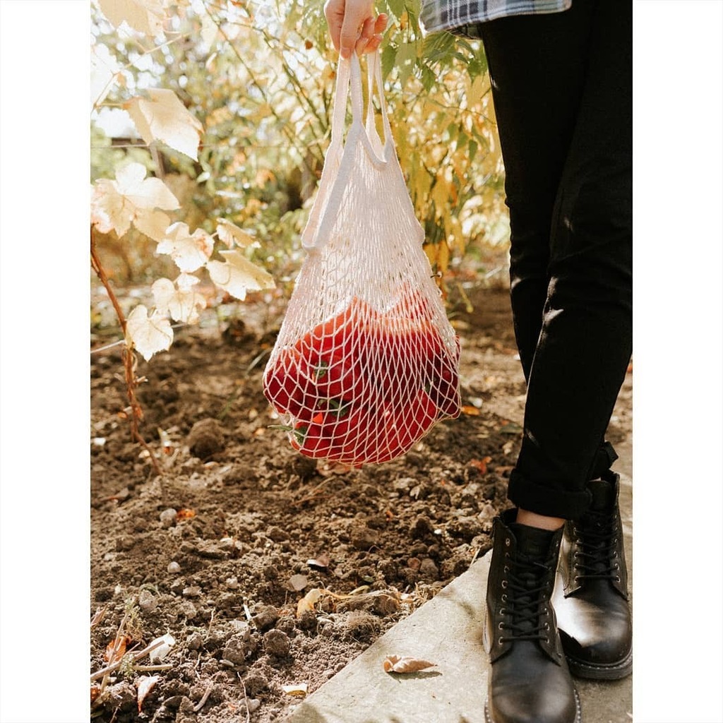 esennoua's tweet photo. Captura zilei din grădină. 🍅🌶 Natural, plin de vitamine și de culoare. Alege să susții producătorii locali, ori de câte ori poți.

#esentialnoua #sustainableliving #plasticfree #reuse #positiveimpact #zerowaste #ethicalliving #ecofriendly #zerowaster… https://t.co/NZCd2PKuqQ https://t.co/3DiQVFB9IH