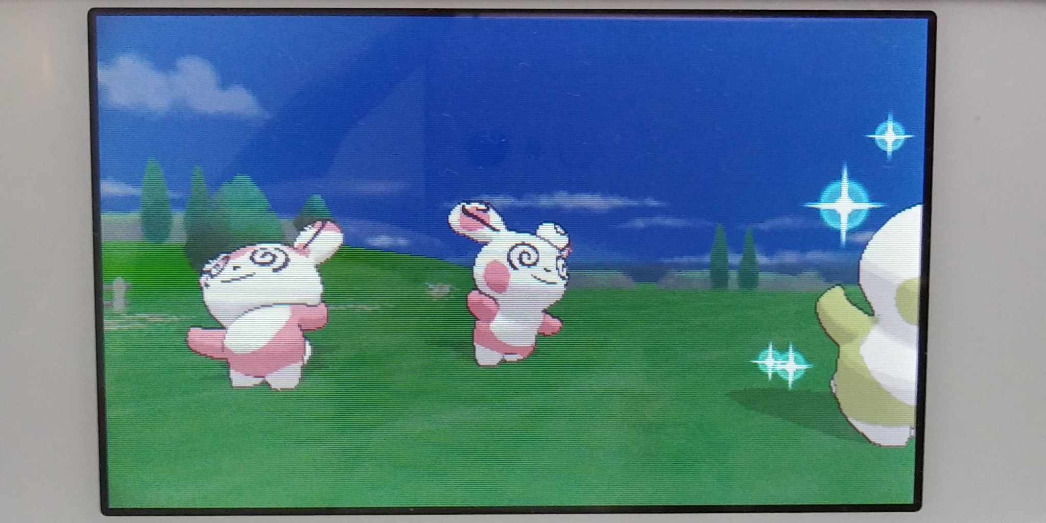 Lima ぱんじぇ Xy群れバトルで色違いパッチール 久しぶりのカロス地方 ポケモンxy 色違いポケモン T Co C3mxs87xiv Twitter