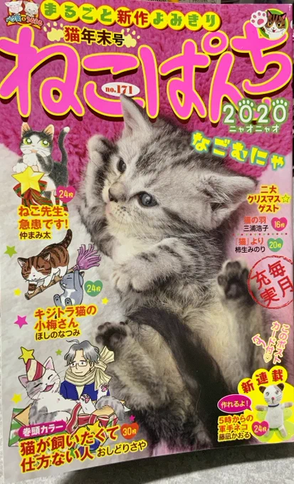 本日発売の「ねこぱんち猫年末号」に漫画16P書かせていただきました。初めて企画ものではなく自分のネタで採用していただいたのでいつもよりちょっと嬉しいです。猫の模様気合い入れて書き込みすぎてパリパリバー(アイス)みたいになってます!是非見てみてください! 