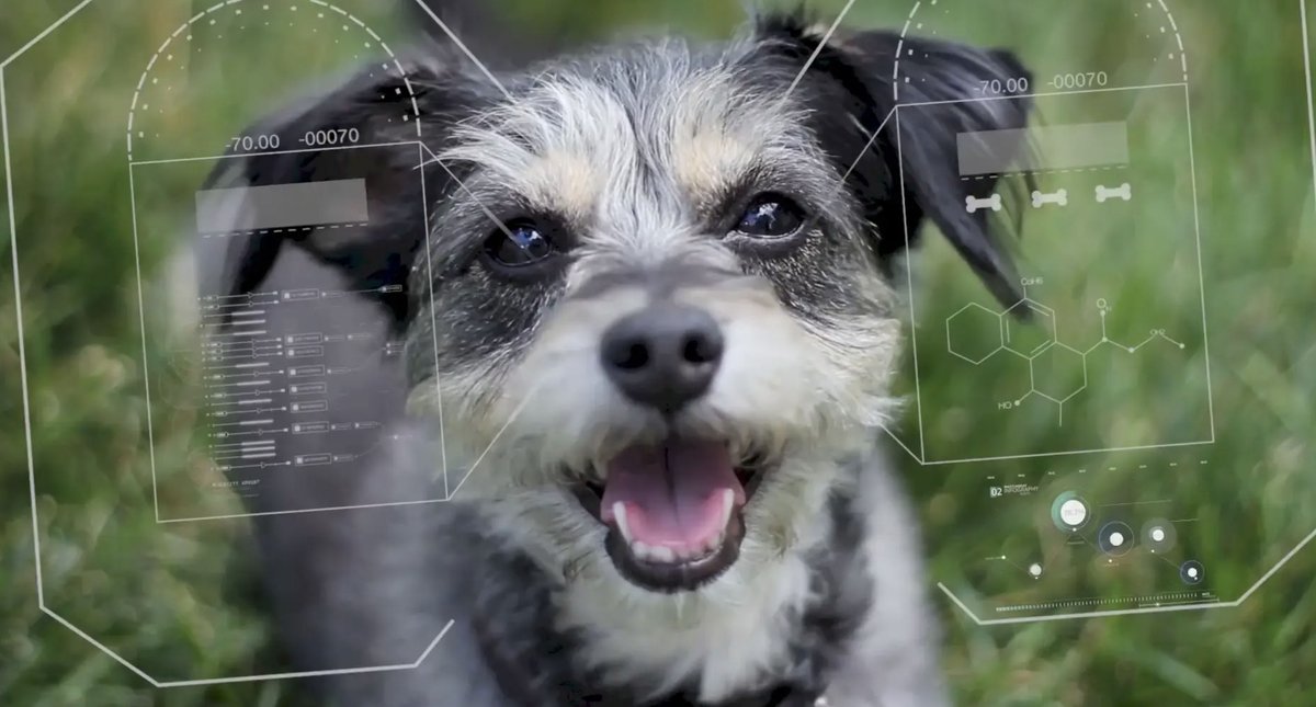 IIBSolutions's tweet image. Motion Graphics | IIBS Service iibs.co/portfolio/moti…