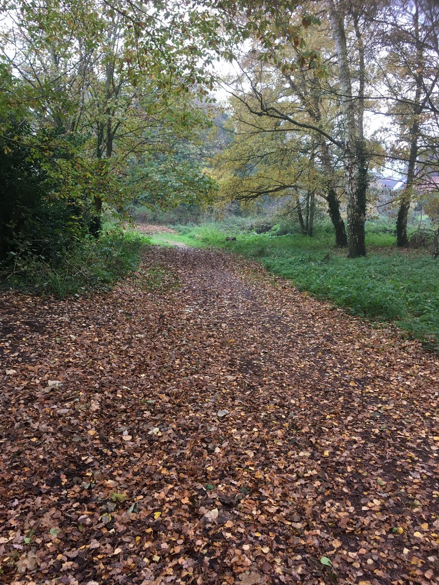 Morton4Deb's tweet photo. I've been nominated by Michele Finney @michelehfinney to post a picture a day for 7 days to illustrate my daily life (no people). 2/7 You have to copy these words, add photo &amp; repeat the challenge. Today I nominate Elizabeth @lizzy41bull https://t.co/OR1KOk4Qwa