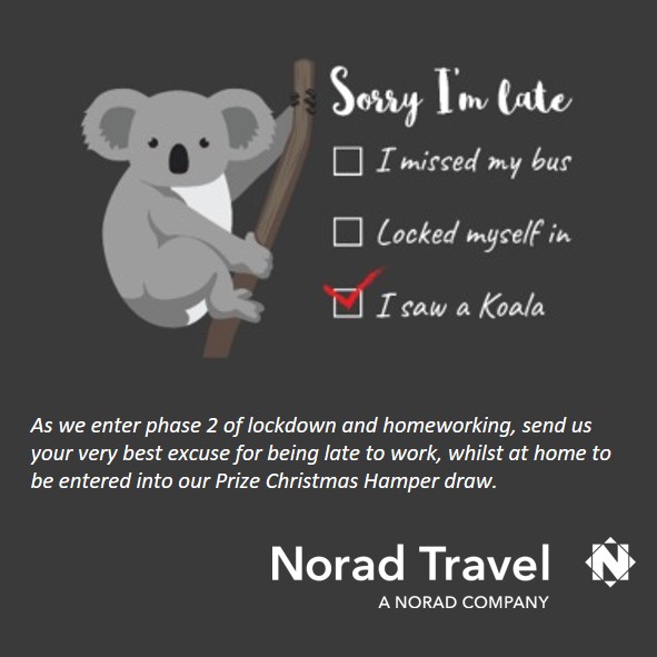 Norad Travel Group tweet media