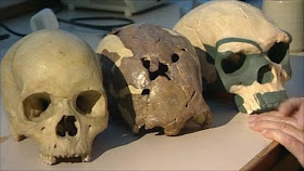 Today Nigeria is one of Humanities Oldest Locations.____Credible information gotten from archaeological sites states that Nigeria has an indication of human life that goes back as early as 11,000 BC. The remains of an ancient skulls were found in Iwo Eleru, neighbouring Akure.