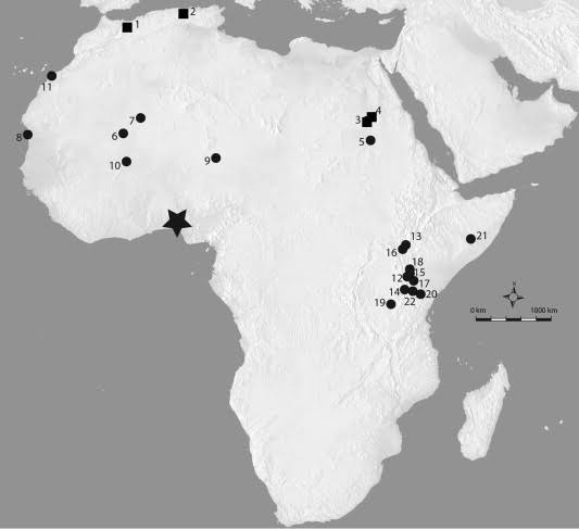 Today Nigeria is one of Humanities Oldest Locations.____Credible information gotten from archaeological sites states that Nigeria has an indication of human life that goes back as early as 11,000 BC. The remains of an ancient skulls were found in Iwo Eleru, neighbouring Akure.