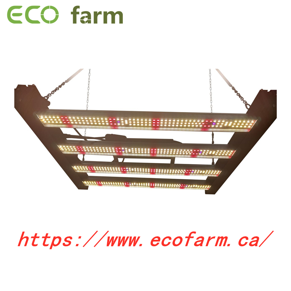 1677715527_2's tweet photo. ECO Farm 240W Dimmable LED Grow Light +UV+IR Panels
#ledlight #growlight #indoorplanting #hydroponics #verticalgarden #ecofarmdotca #harvesttool #indoorgrow #indoorgrowing https://t.co/qqQaQegPfM
