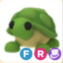 GrowingSabun's tweet photo. Trading Fr turtle
#Adoptmetrades 
#adoptmetrader 
#adoptmetrading 
#adoptmetrade 
#adoptmetraders 
#Roblox https://t.co/BiQoV9gIaF
