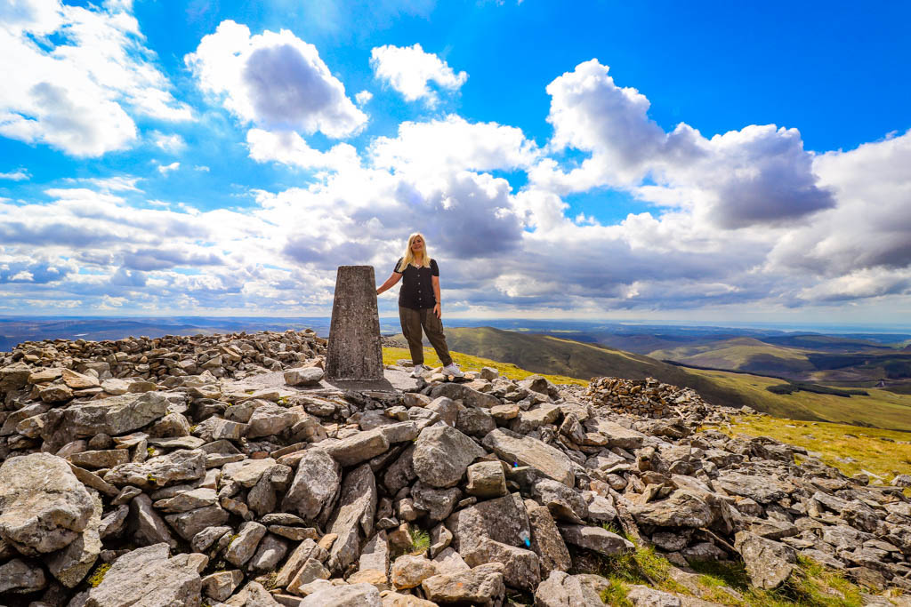 Portia Jones tweet media