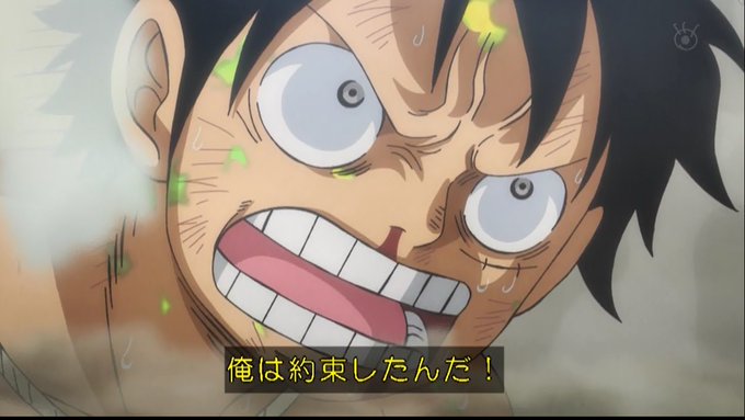 嘲笑のひよこ すすきさん がハッシュタグ ワンピース をつけたツイート一覧 6 Whotwi グラフィカルtwitter分析