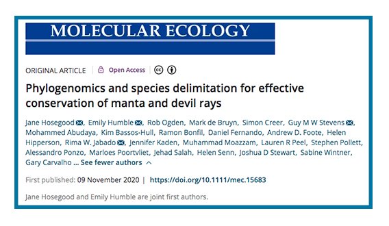  Our phylogenomics study of manta and devil rays is out now in  @molecology.This was a big collaboration & many years of work.See  below for more. https://bit.ly/2Ua8EyC&nbsp; #ConGen  #manta  @EdinburghUni  @roslininstitute  @MantaTrust