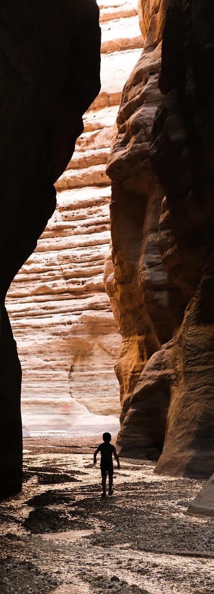 OlaAlmasri's tweet photo. When @JoeBiden the elected president visited our beautiful great & #ancient city #petra in #Jordan #visitjordan #welcometojordan #tourism @VisitJordan @nalfayez #usa #tour https://t.co/5km5v5r6i7
