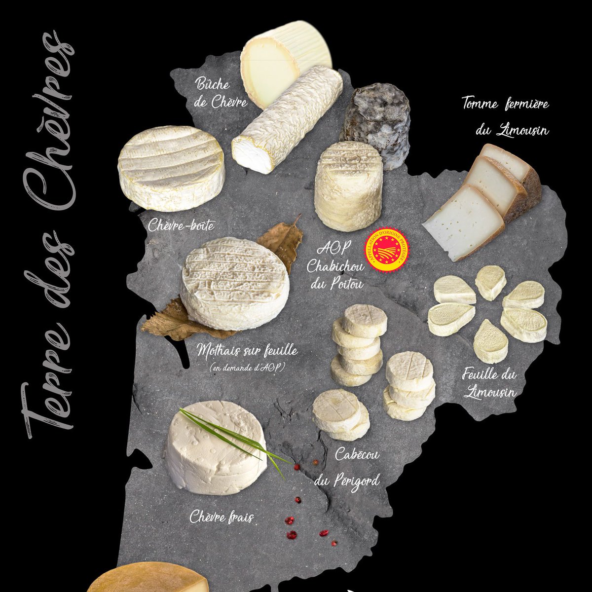 routefromages's tweet photo. Les connaissez-vous ? Nos fromages de chèvre emblématiques de Nouvelle-Aquitaine... Issus des savoir-faire, fabriqués à la ferme, chez les artisans ou dans les laiteries... La Nouvelle-Aquitaine est une "Terre des Chèvres" ! #fromagesdechevre #NouvelleAquitaine @Rexcap_Na https://t.co/vdyIldKATY