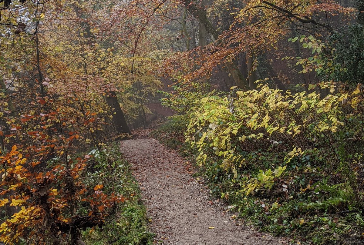 HelloYorkshire's tweet photo. We love #autumn in North #Yorkshire! And with so many beautiful routes, keeping your distance is easy! https://t.co/CL0lLfKcMH