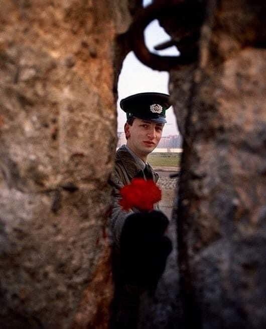 antonel34714671's tweet photo. Quando cadde il #muro.
Una guardia di frontiera della Germania dell’est offre un fiore attraverso un varco nel muro di Berlino, 9 novembre 1989.
Foto Tom Stoddard https://t.co/JW7otaKobn