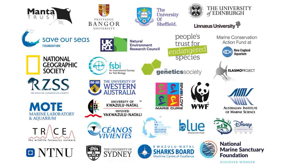 Thanks to co-author Jane Hosegood & all other collaborators including  @MantaTrust  @BangorUni  @blue_resources  @lamaveproject & too many others to mention, all sample providers, manuscript reviewers and funders, especially  @NERCscience  @saveourseas &  @PTES
