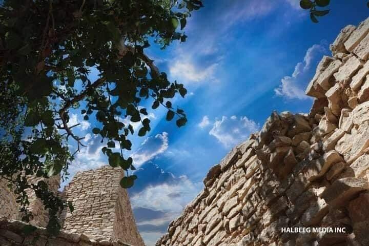 SuhaibSaharded's tweet photo. Taleh is a historical town in the eastern Sool region of Somalia. It served as the headquarters of the pre-independence Dervish State. The town is sometimes referred to as the Sayyid's or mullah capital referring to the founder of the Dervish state Mohammed Abdullah Hassan. https://t.co/rFFQ1I6lyS