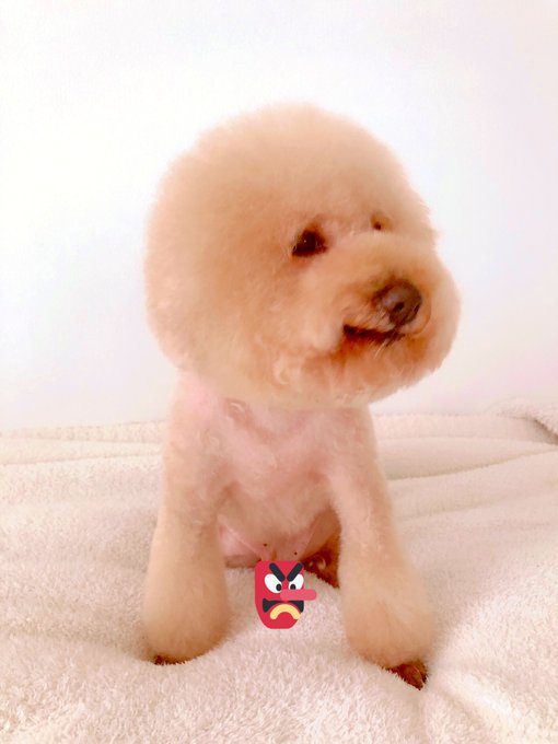 僕は男の子だ！👺♂ https://t.co/roVhujYHiP<a href="/tag/ps4share"class="tags"><span>#ps4share</span></a>