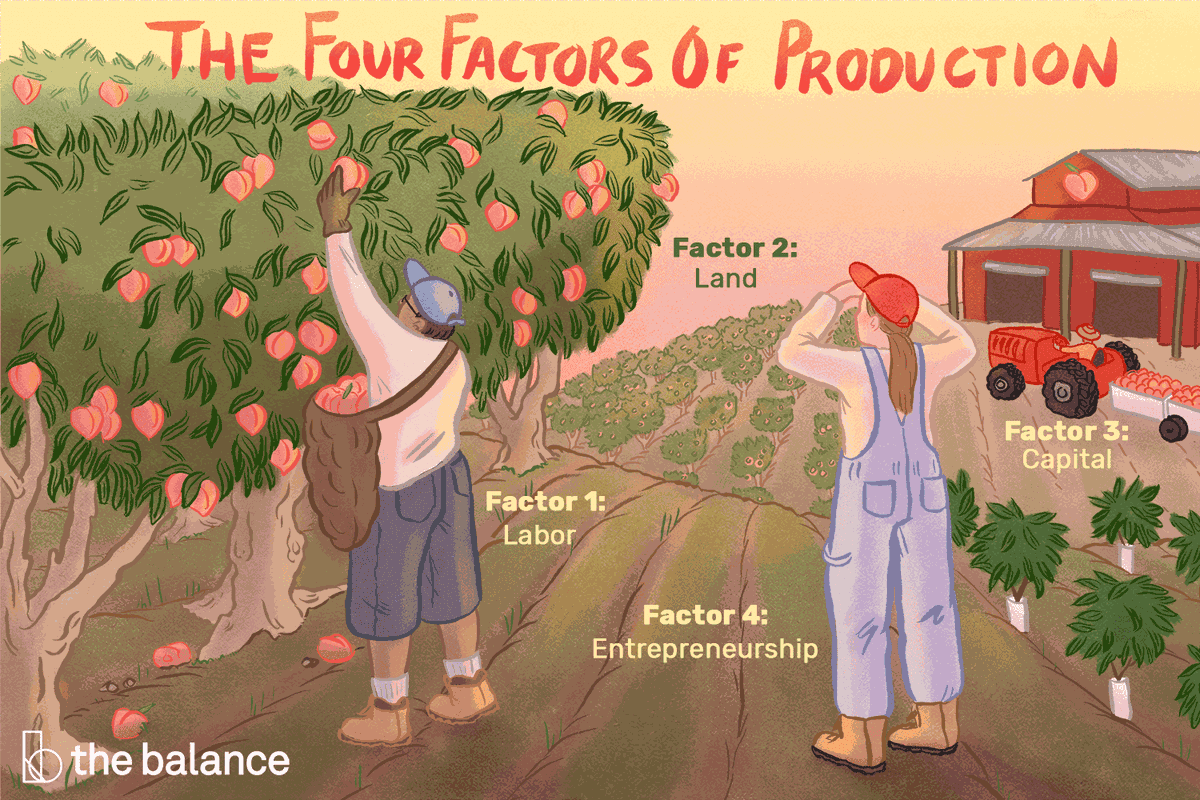 youfarmsa's tweet photo. This week I want to share my thoughts with you on how to reclaim the land through production rather than ownership of the land check out the our blog https://t.co/idSjpaCybm. Would love to hear your thoughts on the topic  #InvestingInAgriculture #ReclaimTheLand https://t.co/ggHyxcnsCC