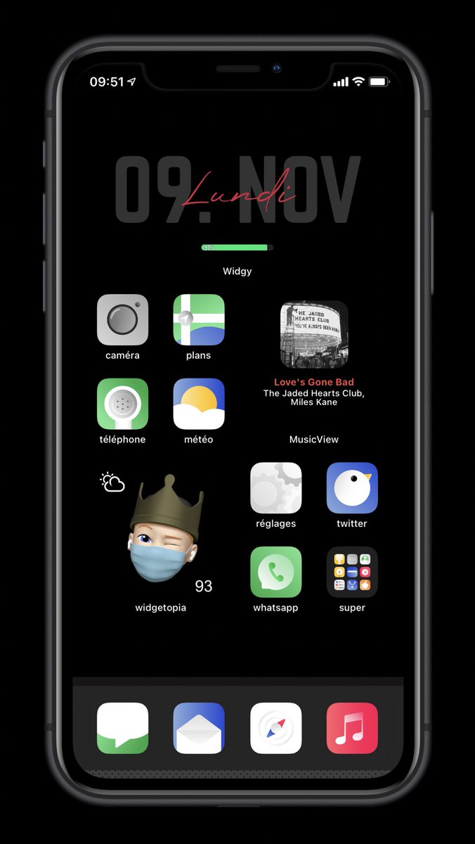 Zooropalg's tweet image. Support the devs. #Widgy #musicview #widgetopia #ios14homescreen