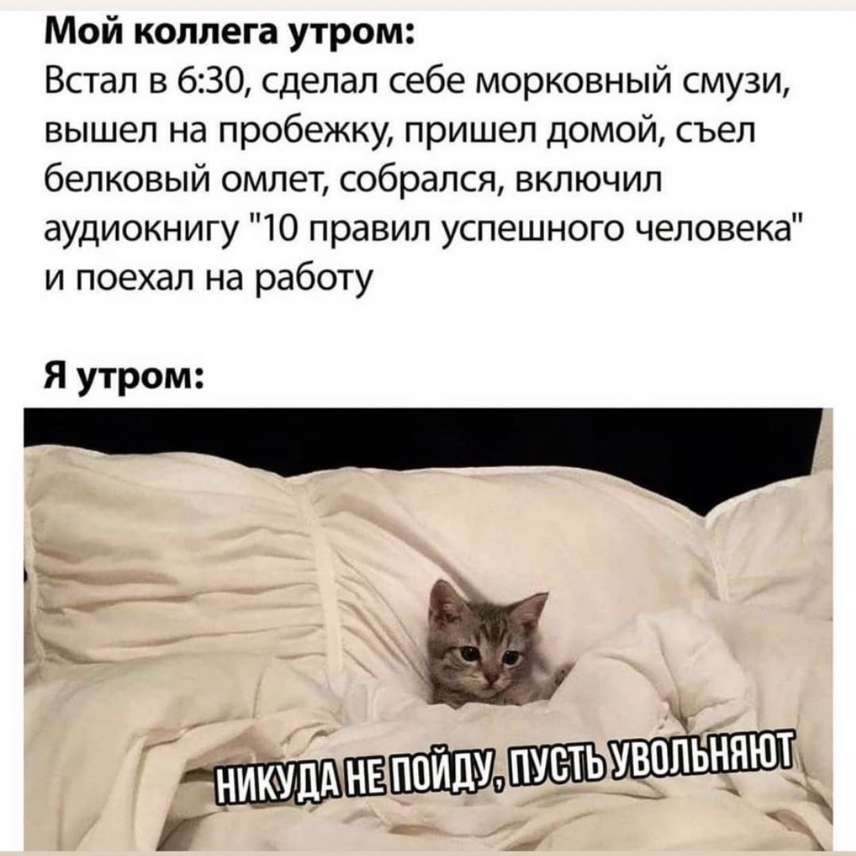 Никуда не пойду пусть увольняют