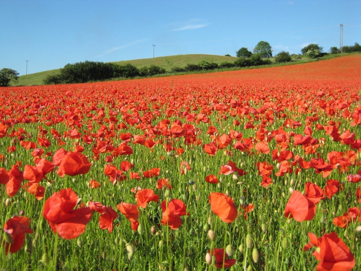 Herefordshire and Worcestershire Health & Care NHS tweet media