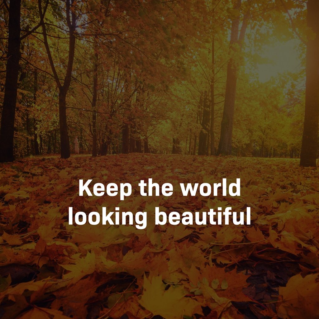JHigh_Opticians's tweet photo. Your vision is amazing: stop and enjoy the beautiful colours around you today. Happy Monday!
#eyesight #vision #colours #beauty #MondayMotivation https://t.co/TXwpbLrKDQ