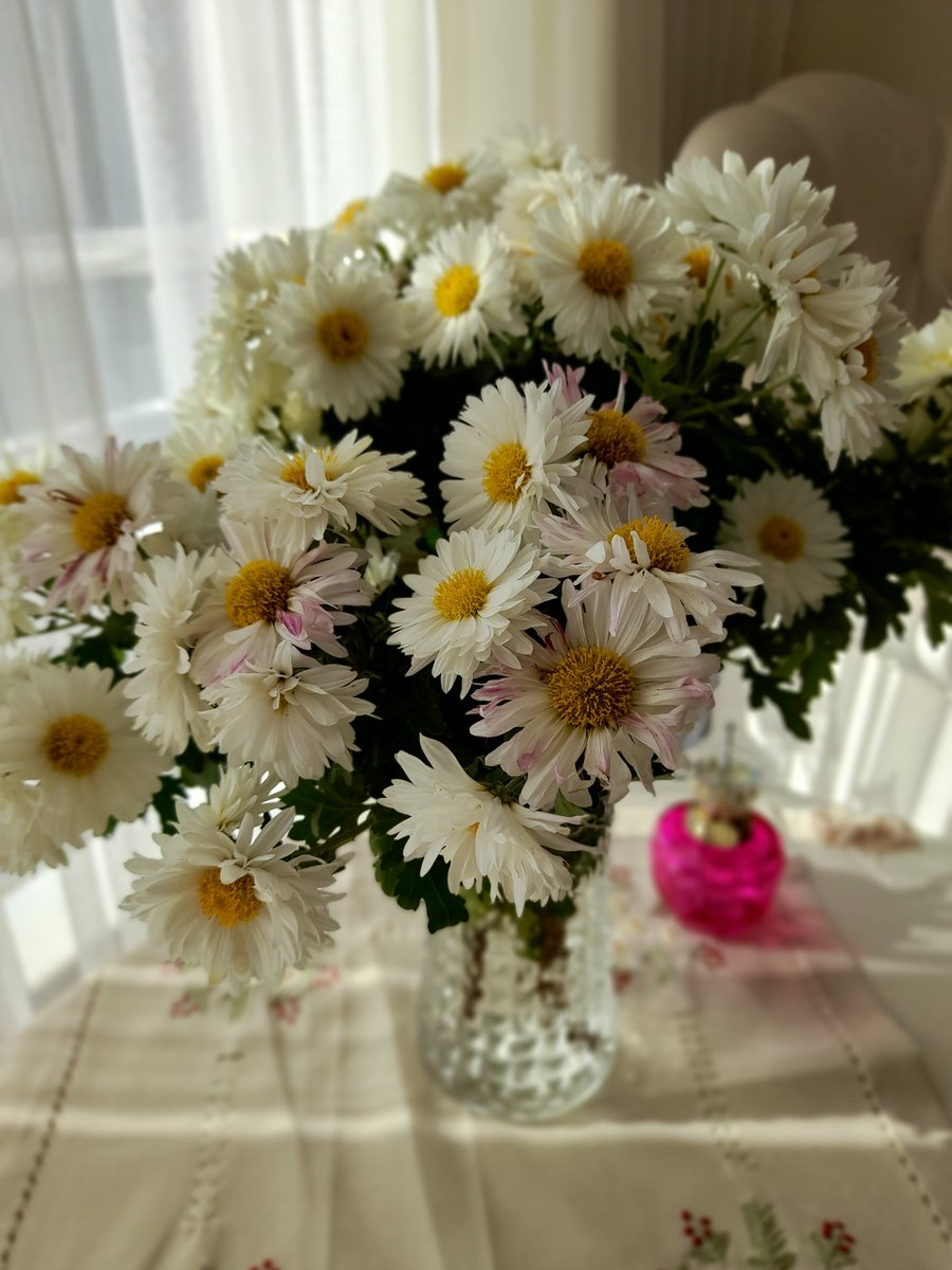 Mevsimlerden papatyayı severim
Sonra seni.
Sonra yine seni
Ve hep seni…

Cemal Süreya