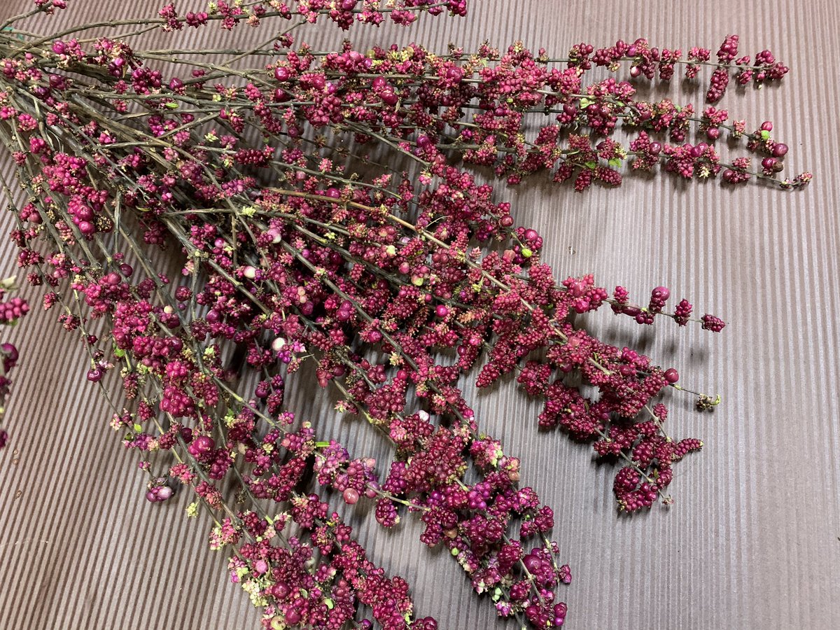 石田花店 シンフォリカルポス原種 ワイルドワンです 小ぶり実でアレンジメントのアクセントに入れるのもいいですね シンフォリカルポス 花言葉 いつまでも献身的に 石田花店 Tel 072 675 0338 高槻 高槻市 高槻花屋 高槻市花屋 高槻市営葬儀