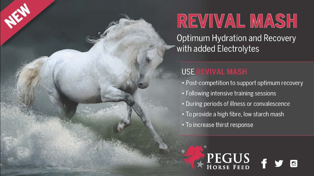 mailchi.mp/199b97016bdd/n…