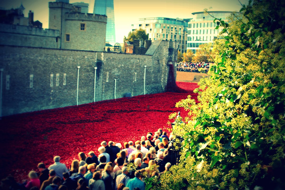 OU_ArtHistory's tweet photo. Today's #materialmondays is to mark #remembranceday: #BloodSweptLands and #SeasofRed by #paulcummins and #tompiper. 📷: @DrLeahRClark #LestWeForget https://t.co/EP4p3vA0m2
