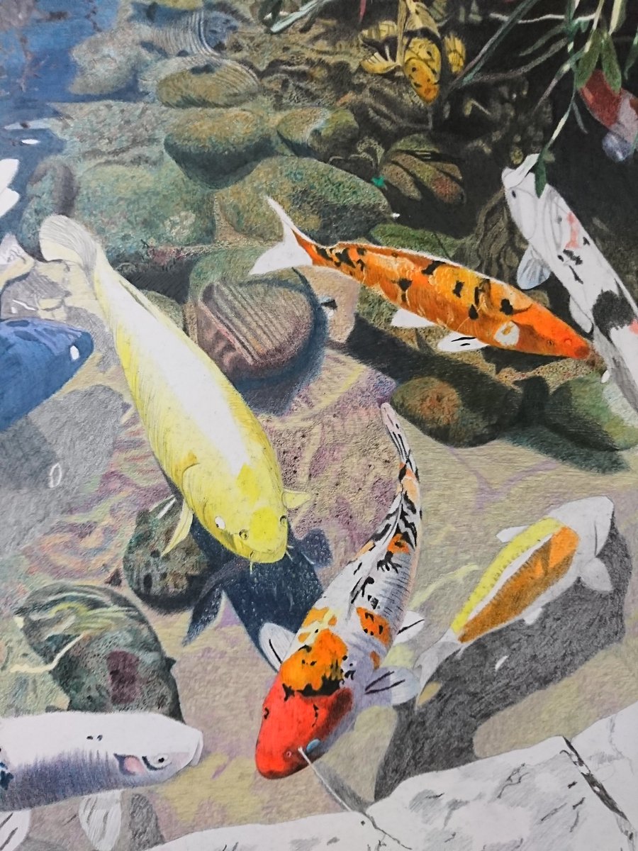 Twoucan コイ の注目ツイート イラスト マンガ