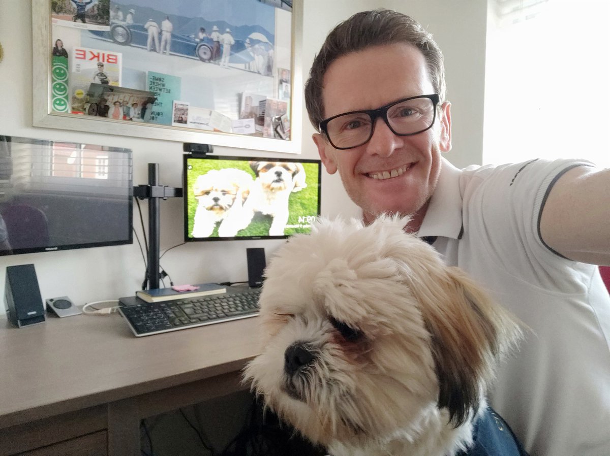 philwaterhouse's tweet photo. Morning all, visitor to the home office this morning #dogsofav #petsofav https://t.co/kpUkRrYOhp