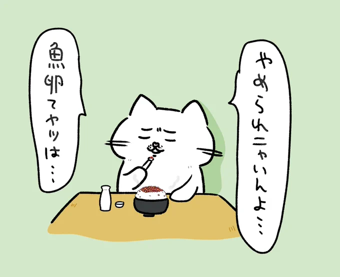魚卵がやめられないねこ助。
#ねこ助 