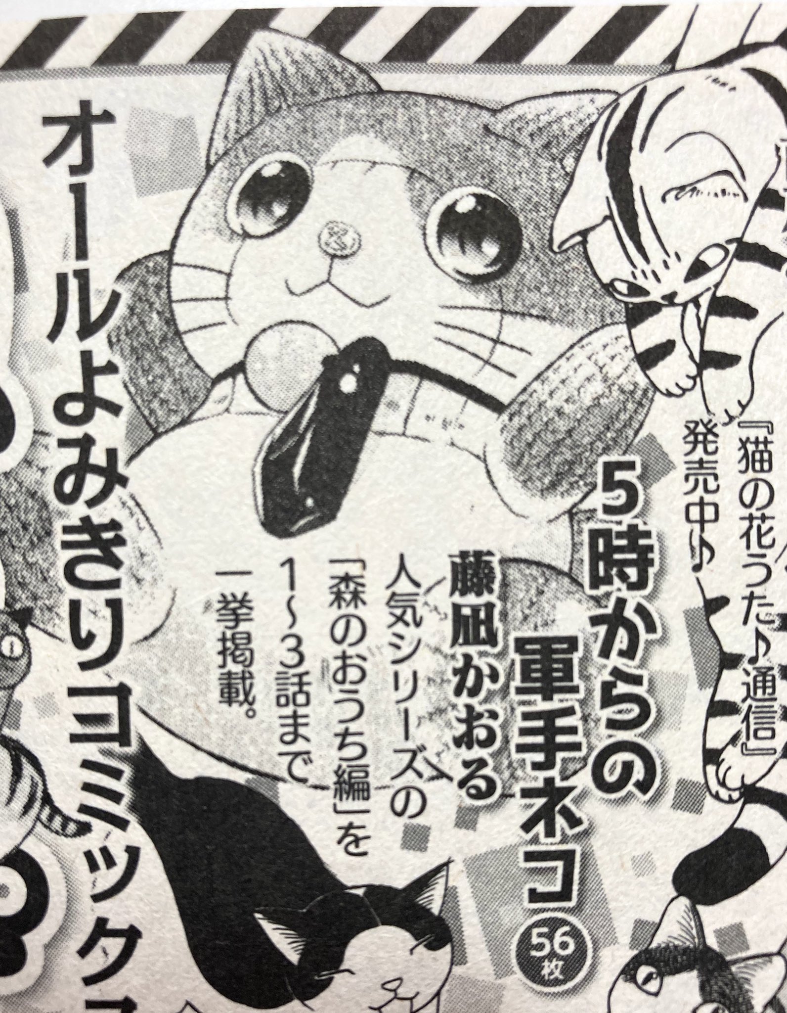 藤凪かおる ねこぱんち 猫年末号 少年画報社さまより発売中です 今月より 5時からの軍手ネコ 家族のカタチ編 を連載させていただいております そしてなんと 12月14日 5時からの軍手ネコ 単行本１巻が発売される事になりました