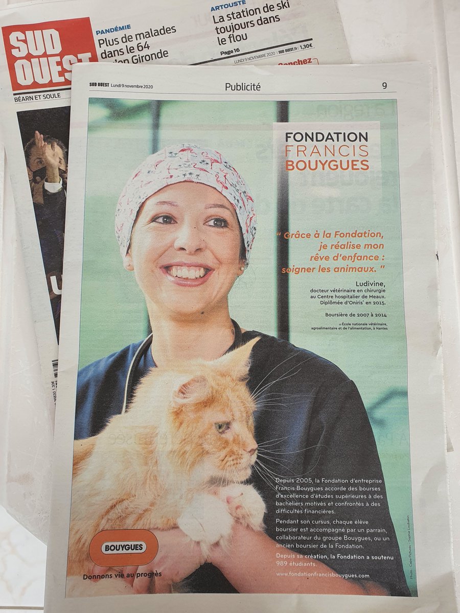 chat rencontre bouygues