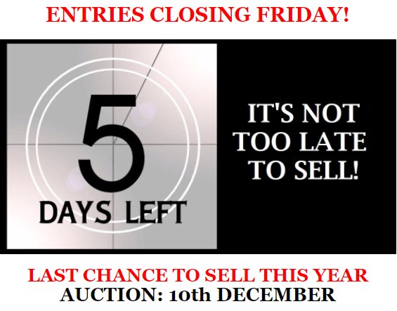 auctionestates1's tweet photo. Last chance to sell in 2020!! We close our final catalogue of the year in 5 days time. It’s not too late to list your property. #auction #property #sell #investment #development #remotebidding #virtualauction #2020 https://t.co/B0skylLEAR
