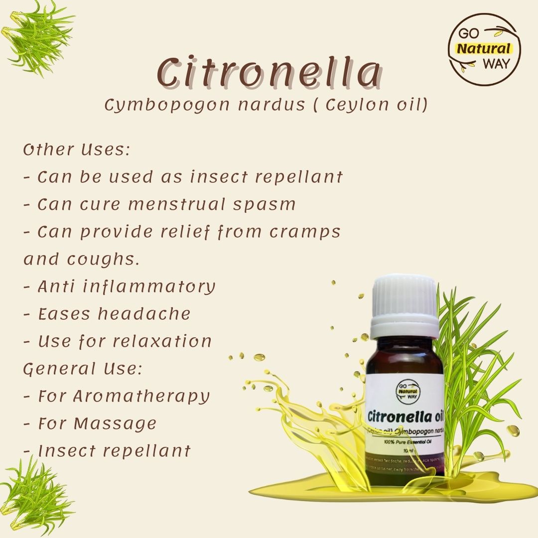 gonatway's tweet photo. "Citronella ( Ceylon oil)" 😍
Visit our shop to avail of a discounted price for your Essential oils. 😍
Shop now at 👉 https://t.co/Rhmp2p8I1I
✅ also available, Wheatgrass Powder, Apricot seed, and Barley grass
Tags:
#essentialoilsforhealth #essentialoilsforthewin https://t.co/fiqDTAmoq7