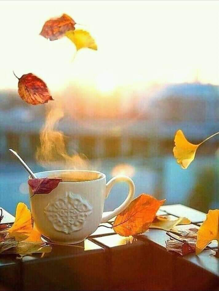 miperez63's tweet photo. Guten Morgen! Buenos días! Good morning! Bonjour! Buongiorno! Bom dia! https://t.co/wrky2sV7G8