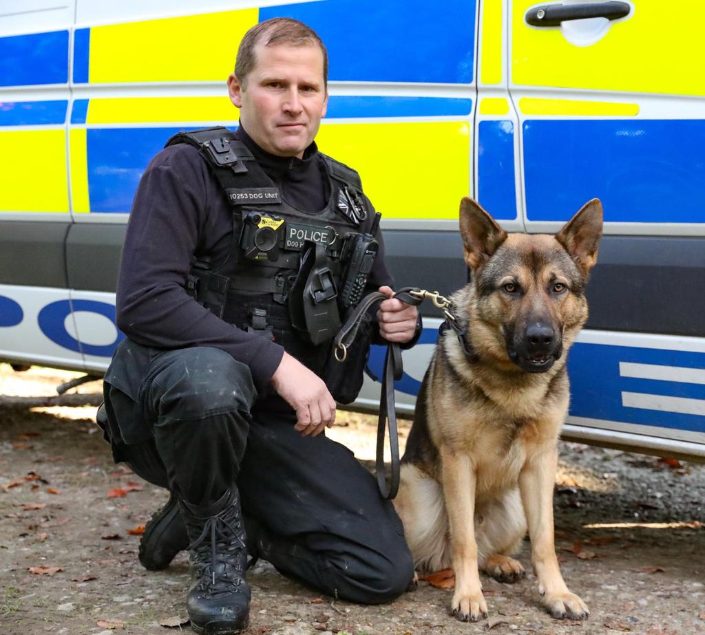 KPTacOps's tweet photo. Congratulations to PC Smith with PD Blue (L) and PC Robertson with PD Borris (R). Both dogs licensed for their first time last week and will now be working to #KeepKentSafe. Special mention to PD Blue after @gsrescueelite saw his potential and giving him the chance with us. AC https://t.co/FqeIP6Pmak