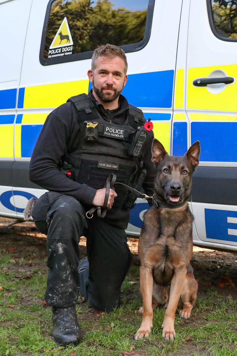 KPTacOps's tweet photo. Congratulations to PC Smith with PD Blue (L) and PC Robertson with PD Borris (R). Both dogs licensed for their first time last week and will now be working to #KeepKentSafe. Special mention to PD Blue after @gsrescueelite saw his potential and giving him the chance with us. AC https://t.co/FqeIP6Pmak