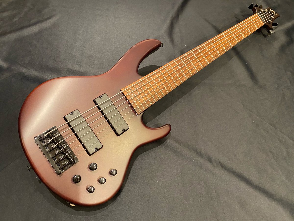 Bigboss京都 On Twitter 6弦ベースに挑戦してベースでも和音奏でてみたいけど だいたいの本体が高い そんな方のためにお手軽な価格 帯の6弦ベースが登場 これがあればベースが地味だなんて言わせない 的なアプローチが可能 スラップしても楽しいかも