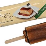 注目の商品!硬めのイタリアンプリンをイメージしたプリンアイスが新発売!