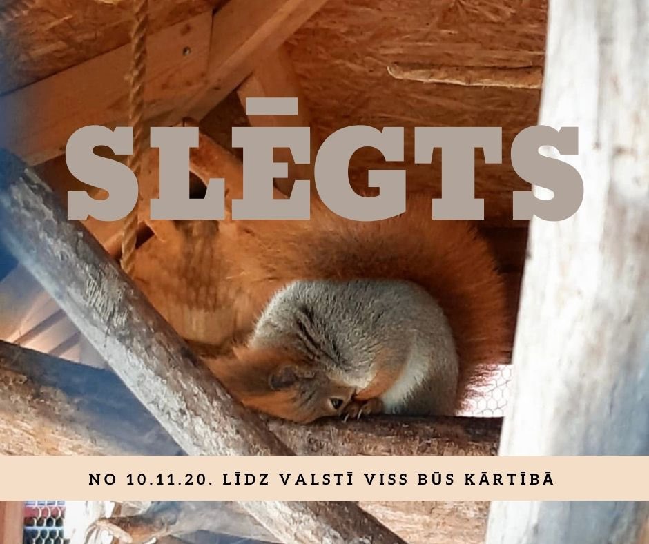 MazaisAnsis's tweet photo. Šoreiz uzraksts “ slēgts “ nāca lēnāk, grūtāk.
Lai cik arī lēmums smags , labi zinām, ka to vajag visiem mums. 
Pateicamies visiem par atbalstu, uz tikšanos! 
#paliecmājās https://t.co/hVdwnZtWQA