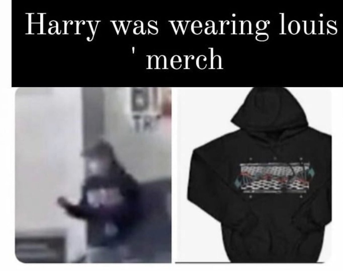 También se dijo que Harry estaba usando el merch de Louis