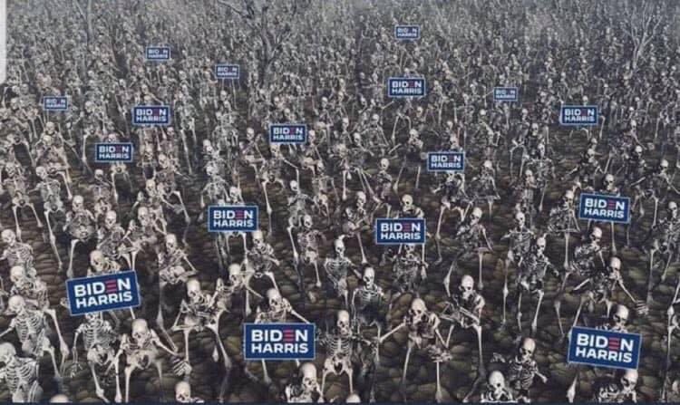 OttoHuang120's tweet photo. The silent majority voted for Biden. https://t.co/7iZ2uuAhac