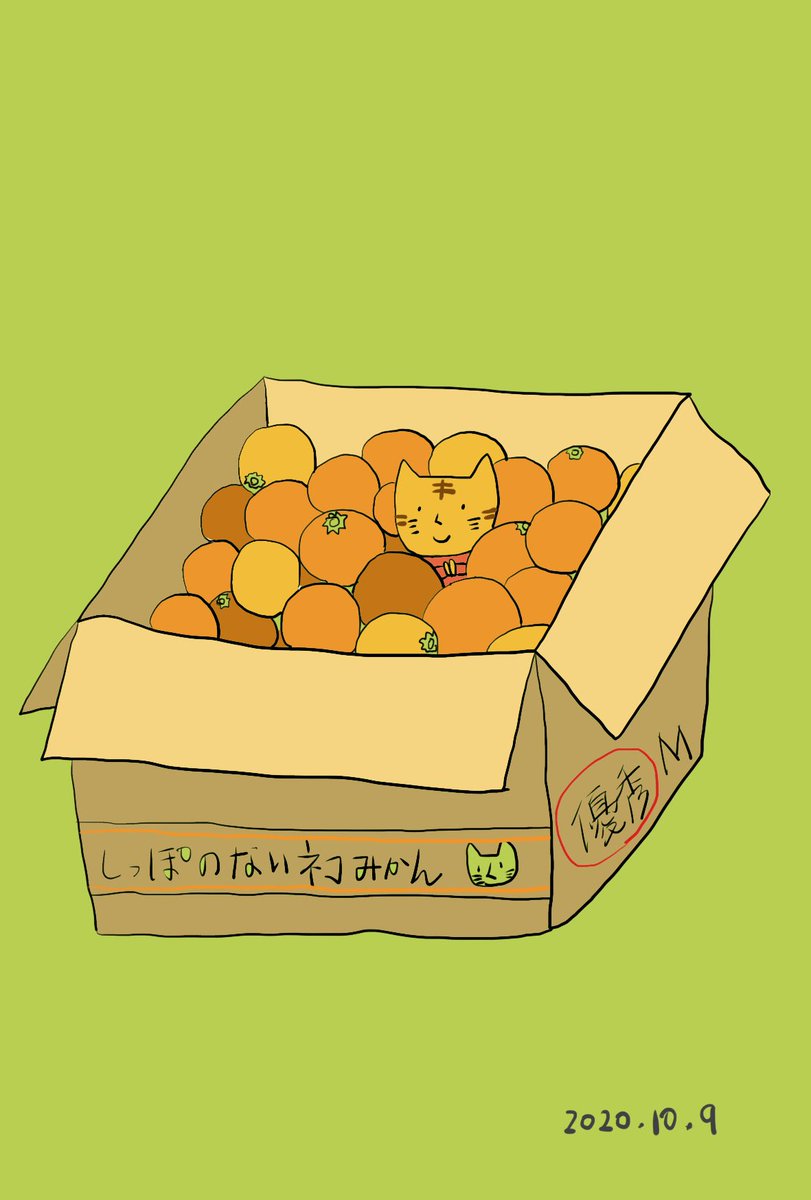 ももあずき しっぽのないネコみかん どこにいるでしょう イラスト マンガ Illustrator Illustration Orange かわいい ねこ Cat 猫 ダンボール みかん