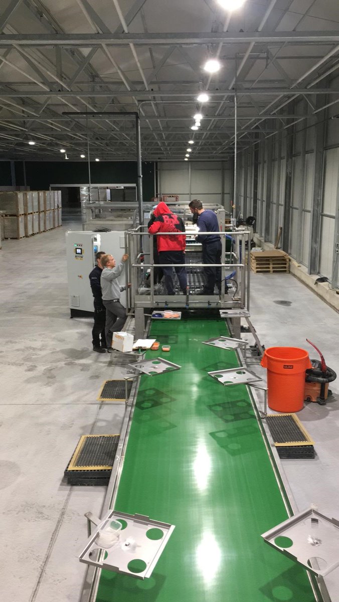 FlierSystems's tweet photo. Last week we shared the teaser of our video of the beautiful Ultimate rockwool line. We are proud to show you that this line is recently installed at @Proplantprop. Thank you for your trust @Proplantprop 

Haven’t seen our video yet? You can watch it here: https://t.co/dl306ESOhg https://t.co/heAKtQYWg0